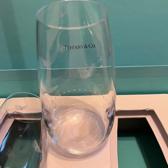 NWB Tiffany Jardin Etched Coupe Champagne